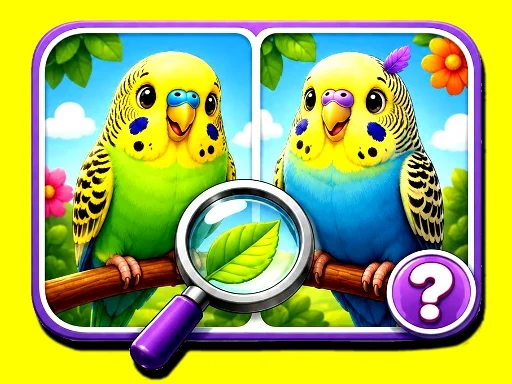 Budgie Spot the Difference - 8839